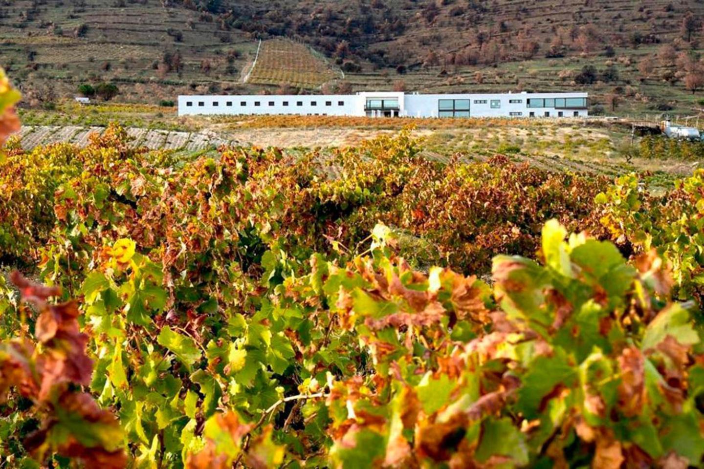 Hotel Tierras De Cebreros Esterno foto